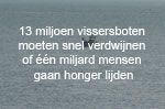 VN waarschuwt: Nu ingrijpen of geen vis meer in zee