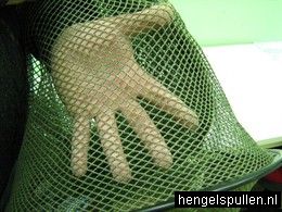 Klik voor orgineel